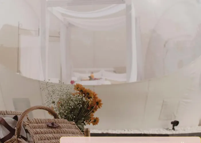 Burbujas Astronomicas Albarari Coruna *